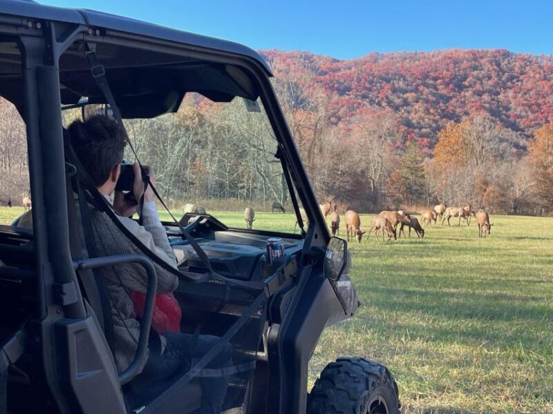 (3 HR.) Guided Scenic UTV Adventure - Preparation and What to Bring