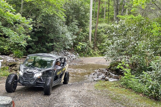 (3 HR) Guided Scenic UTV Adventure - Family-Friendly Adventure