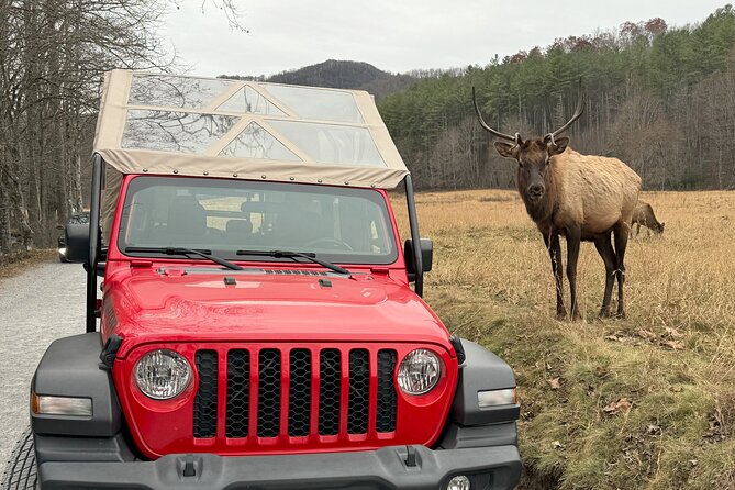 3 HR Smoky Mountain, Cherokee, Blue Ridge Parkway, Jeep Adventure - Meet Your Knowledgeable Guide
