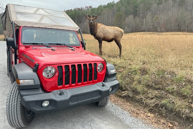 3 HR Smoky Mountain, Cherokee, Blue Ridge Parkway, Jeep Adventure - Family-Friendly Adventure