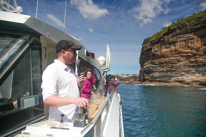 3 Hr Whale Watching Discovery Cruise in Sydney - Booking and Pricing Details
