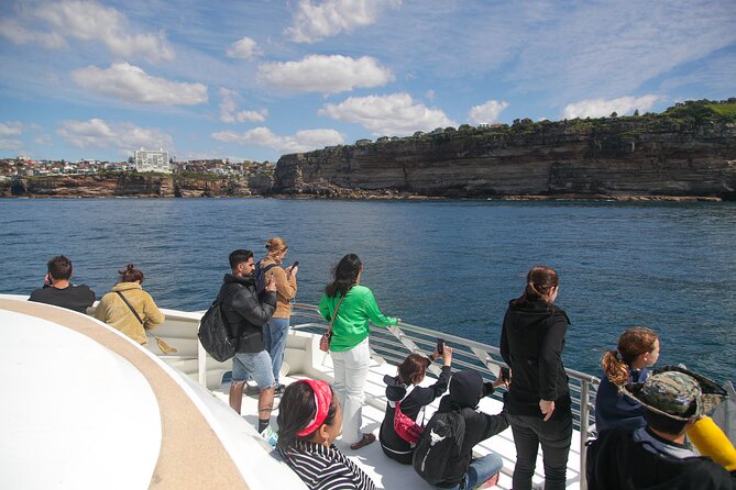 3 Hr Whale Watching Discovery Cruise in Sydney - Seasonal Availability and Duration