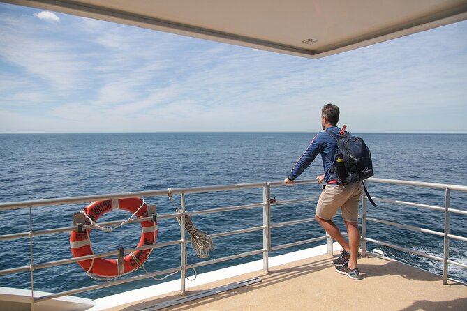 3 Hr Whale Watching Discovery Cruise in Sydney - Sighting Opportunities and Experiences