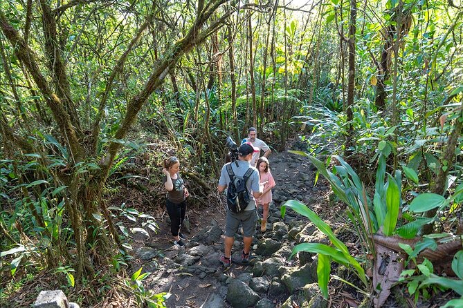 3-in-1 Arenal Volcano River Safari Float, La Fortuna Waterfall and Volcano Hike - Discovering La Fortuna Waterfall