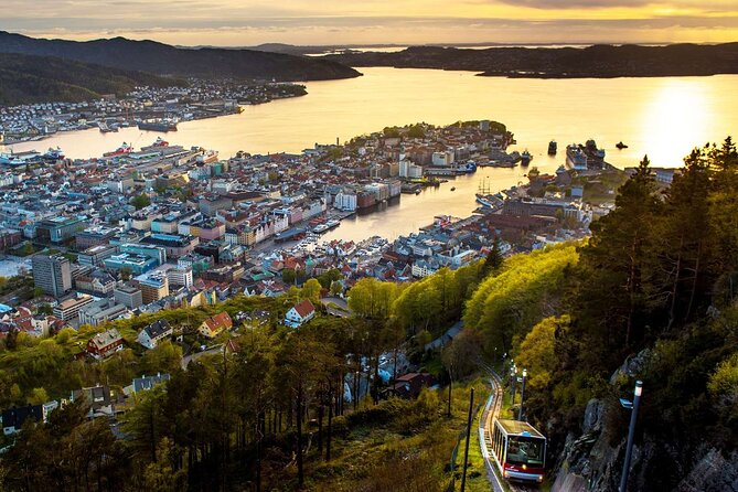 3 in 1 - Bergen Fjord Cruise, City Walk & Mt Flöyen Funicular - Sightseeing Tour of Bergen