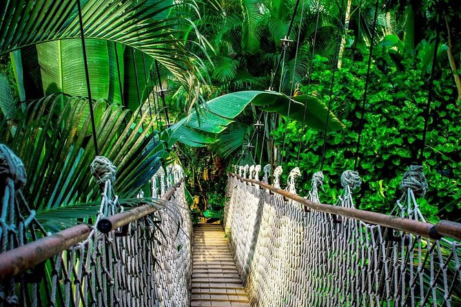 3 in 1 Combo: La Fortuna Waterfall, Hanging Bridges, Thermal Spa From San José - La Fortuna Waterfall