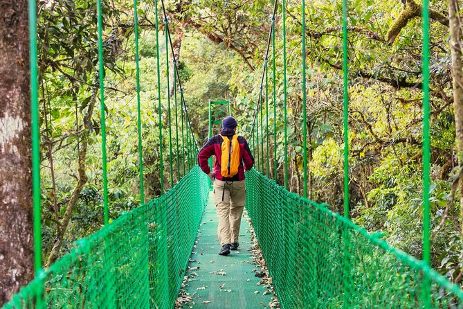 3 in 1 Eco Tour Rain Forest Aerial Tram, River Cruise & Nature Walk Private Tour - Inclusions and Highlights