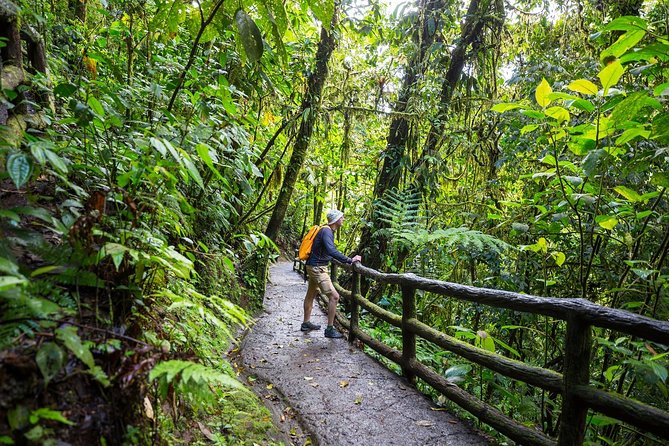 3 in 1 Eco Tour Rain Forest Aerial Tram, River Cruise & Nature Walk Private Tour - Booking and Cancellation Policy