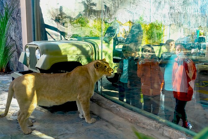 3 in 1 Fun With Viaport Theme Park With Aquarium and Lion Park - Accessibility Information