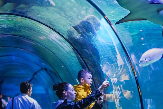 3 in 1 Fun With Viaport Theme Park With Aquarium and Lion Park - Encounter the Lion Park