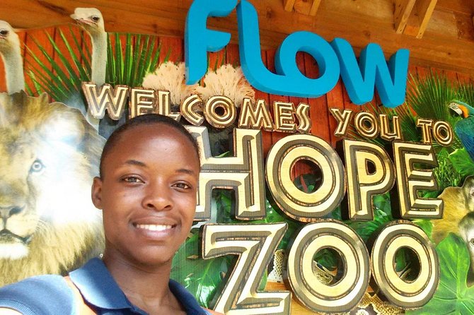 3 in 1 - Hope Zoo, Devon House and Boardwalk Beach - Meeting and Pickup