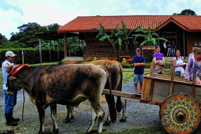 3-in-1 Monteverde Cloud Forest Coffee, Chocolate and Sugar Cane Tour - Key Points