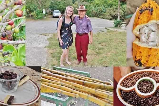 3-in-1 Monteverde Cloud Forest Coffee, Chocolate and Sugar Cane Tour - Coffee Plantation Experience