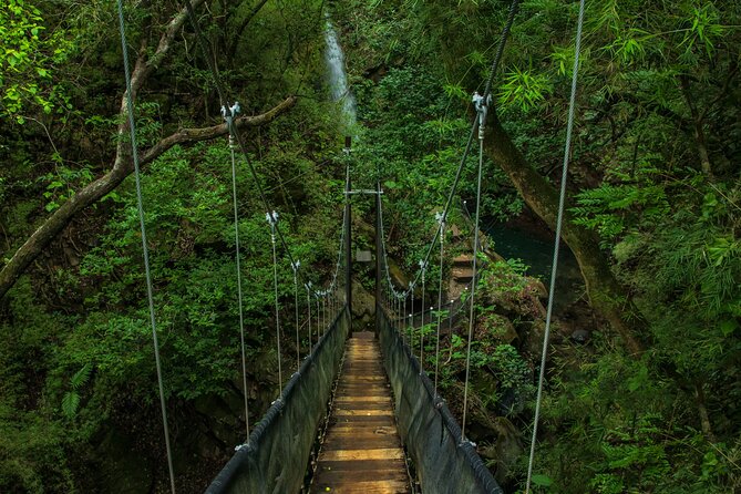 3-In-1 Rincon De La Vieja National Park Nature Day Tour - Positive Tour Highlights