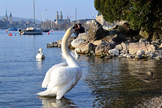 3 in 1: Zurich Walking Tour - Cruise on the Lake - Cable Car Ride to Felsenegg - Relaxing Lake Cruise