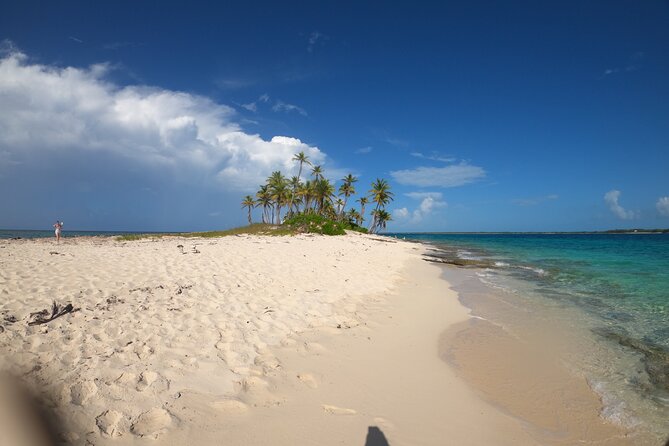 3 Islands Boat Adventure: Swimming Pigs, Turtles, And Snorkeling - Planning Your Adventure