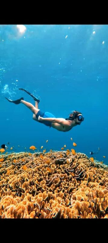 3 Islands Snorkeling with Glass Bottom Boat & GOPRO SHOOT - Final Thoughts