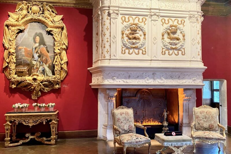 3 Loire Castles Live Guided Small Group by Minivan Winery - Château Royal Damboise