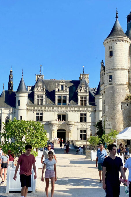 3 Loire Castles Live Guided Small Group by Minivan Winery - Inclusions and Exclusions