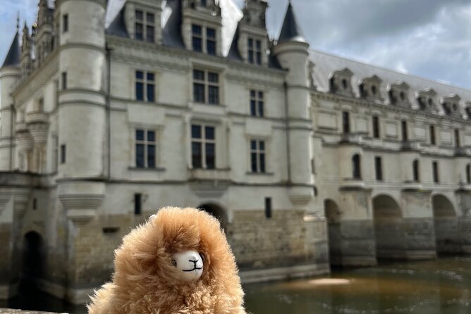 3 Loire Valley Castles and Wine Tasting Private Guided Tour - Tour Itinerary