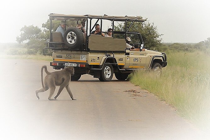 3 Night & 4 Day Private Kruger Park Safari - Included Amenities