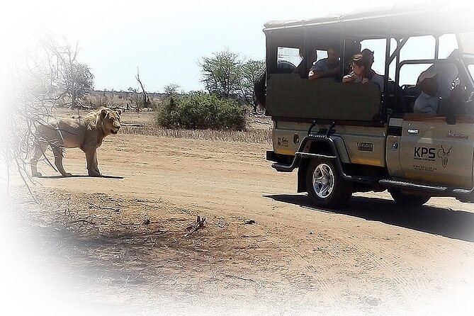 3 Night & 4 Day Private Kruger Park Safari - Health and Accessibility