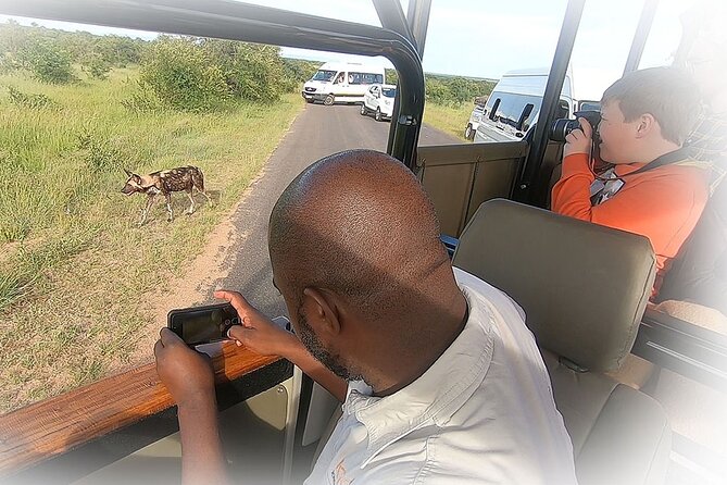 3 Night & 4 Day Private Kruger Park Safari - Pricing and Booking