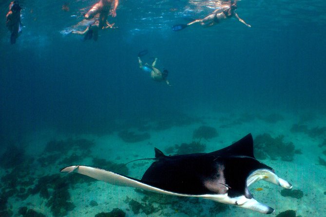 3 Night Ningaloo Reef Snorkel and Dive Getaway From Coral Bay - Pricing and Cancellation Policy