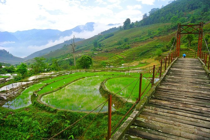 3-Night Sapa Trekking Tour From Hanoi - Traveler Feedback and Preferences