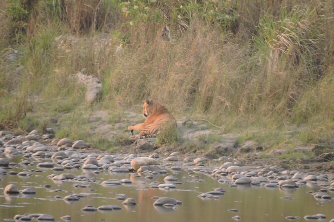 3 Nights 4 Days Bardia Tiger Tracking Tour | Bardia Jungle Safari - Itinerary