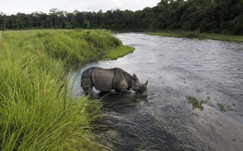 3 Nights 4 Days Chitwan National Park With Tower Night Stay - Accommodations
