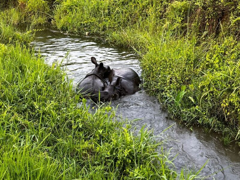 3 Nights 4 Days Chitwan National Park With Tower Night Stay - Itinerary