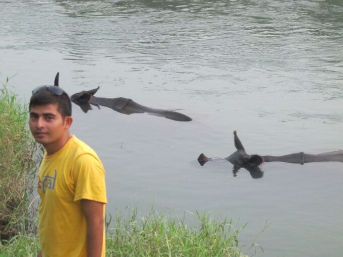3 Nights 4 Days Chitwan National Park With Tower Night Stay - Transportation