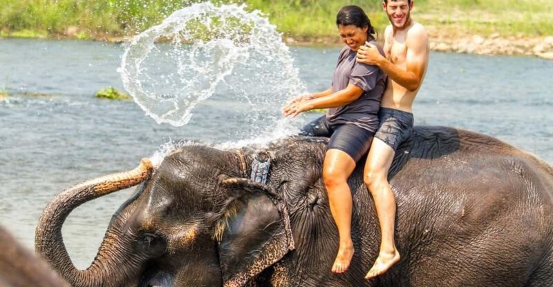 3 Nights 4 Days Chitwan National Park With Tower Night Stay - Jungle Safari and Tower Night