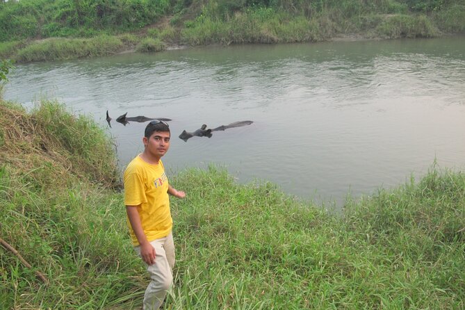 3 Nights 4 Days Chitwan National Park With Tower Night Stay - Included Meals and Fees