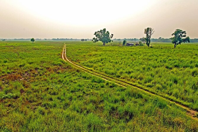 3 Nights 4 Days Chitwan National Park With Tower Night Stay - Group Size and Clothing