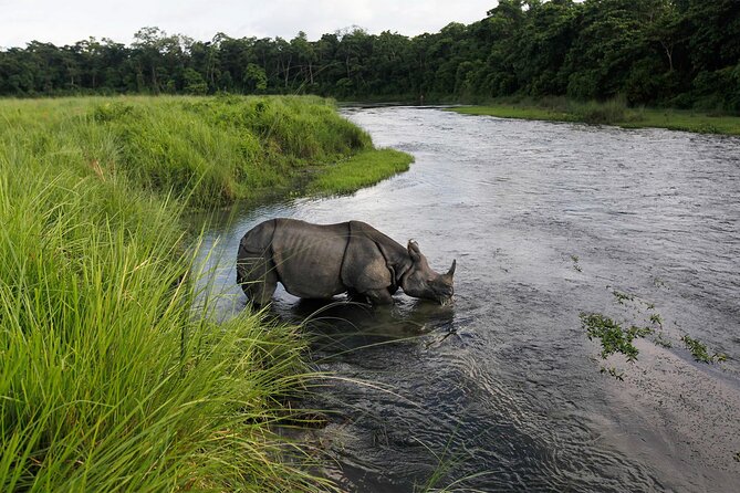 3 Nights 4 Days Chitwan National Park With Tower Night Stay - Tour Operator and Cancellation Policy