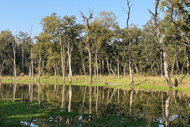 3 Nights 4 Days Comfortable Chitwan Safari Tour - Chitwan National Park