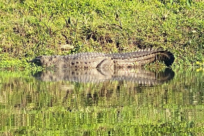 3 Nights 4 Days Comfortable Chitwan Safari Tour - Cultural Experiences