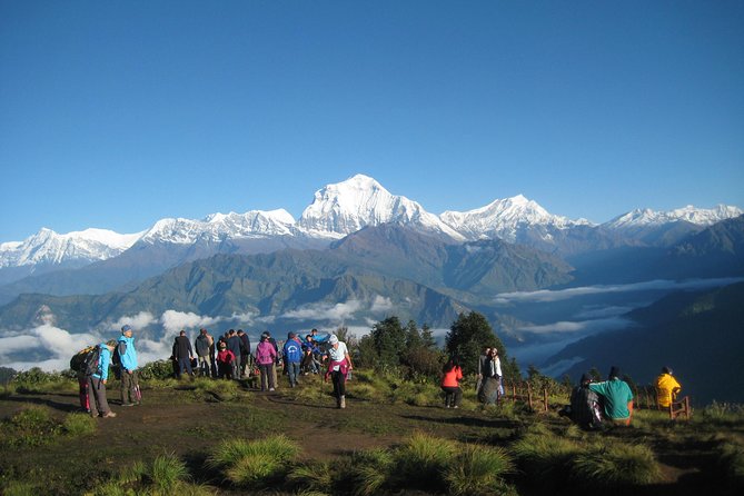 3 Nights 4 Days Ghorepani Trekking Review - Included Services