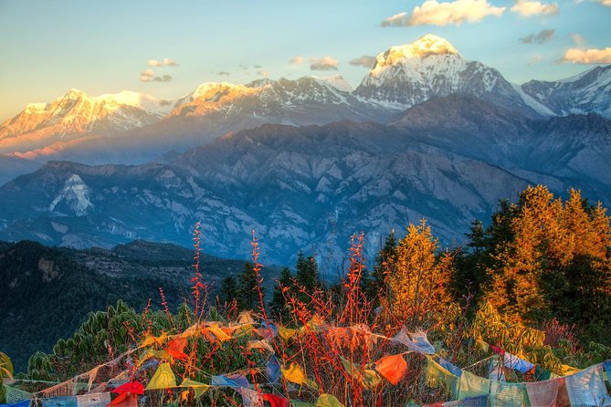 3 Nights 4 Days Ghorepani Trekking Review - Pickup and Meeting Details