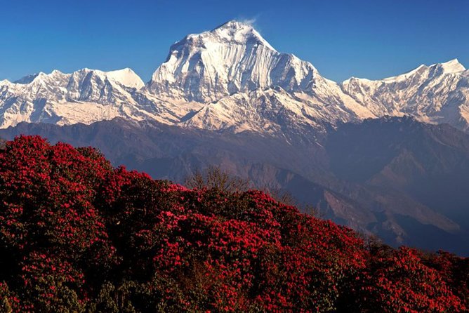 3 Nights 4 Days Ghorepani Trekking Review - Booking Confirmation