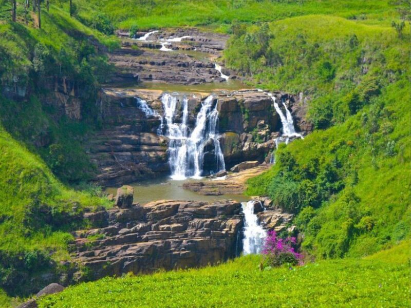 3 Nights 4 Days-Muslim Halal Tour With Nuwara Eliya - Arrival and Transfer