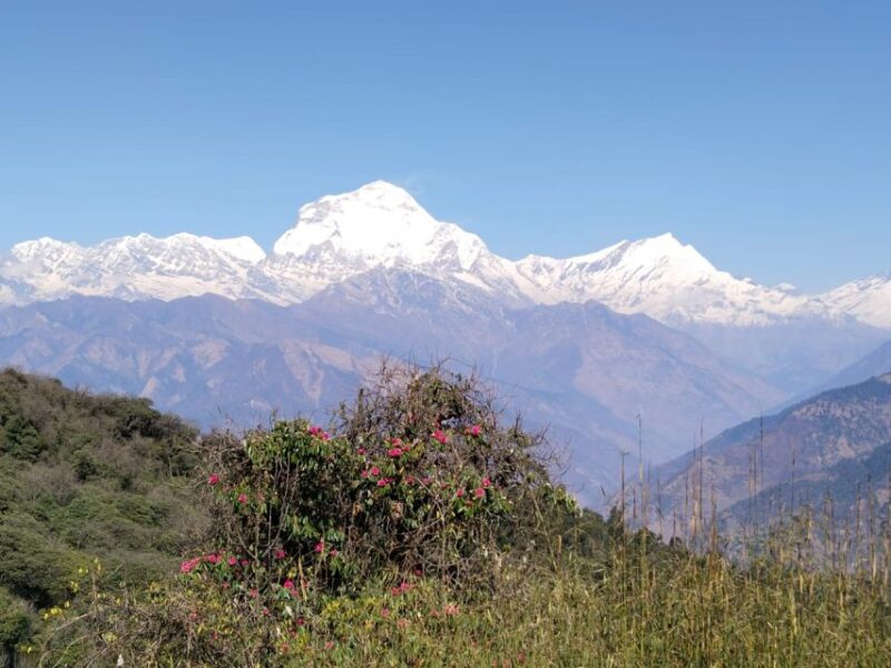 3 Nights 4 Days Poon Hill Trek With Hot Springs Trek - Health and Safety