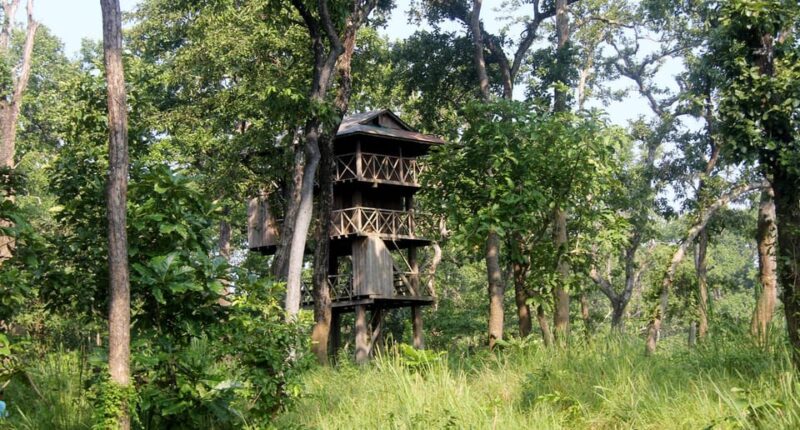 3 Nights Chitwan Adventure With 1 Night Jungle Tower Stay - Itinerary Highlights