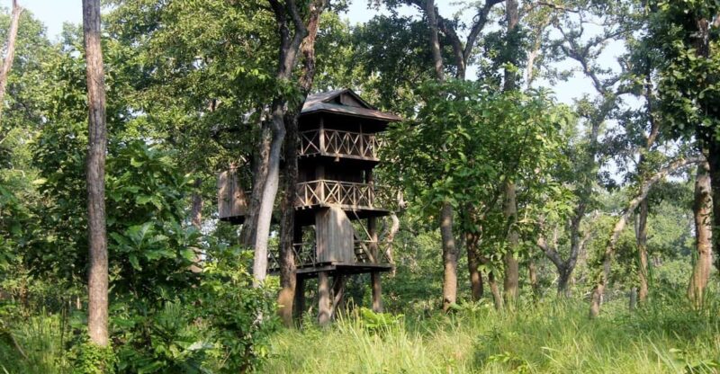 3 Nights Chitwan Adventure With 1 Night Jungle Tower Stay - Cultural Immersion in Tharu Village