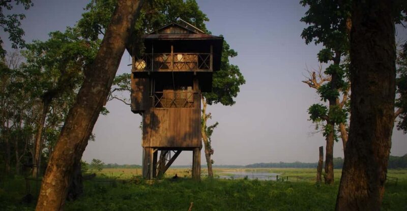 3 Nights Chitwan Adventure : With 1 Night Jungle Tower Stay - Itinerary Highlights