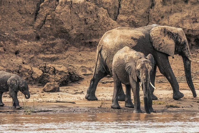 3 Nights Exclusive Masai Mara Safari - Meeting and Pickup