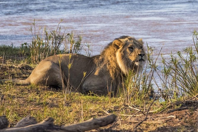 3 Nights Exclusive Masai Mara Safari - Preparation and Packing Tips