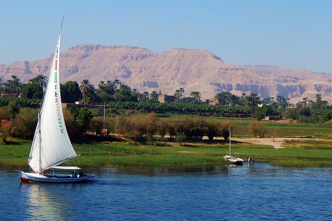 3 Nights Movenpick MS Royal Lily Nile Cruise From Aswan to Luxor - Guided Excursions
